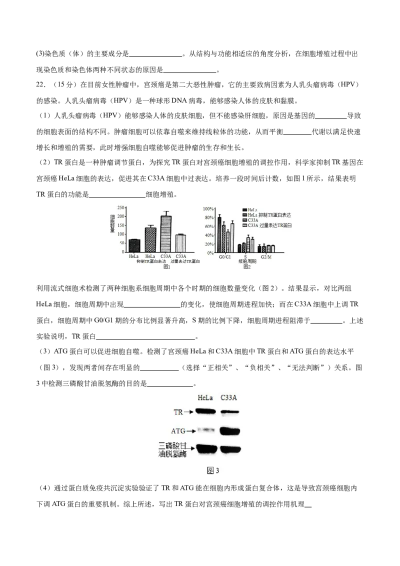专题三细胞的生命历程（测试）（原卷版）_2024年新高考资料_2.2024二轮复习_2024年高考生物二轮复习讲练测（新教材新高考）