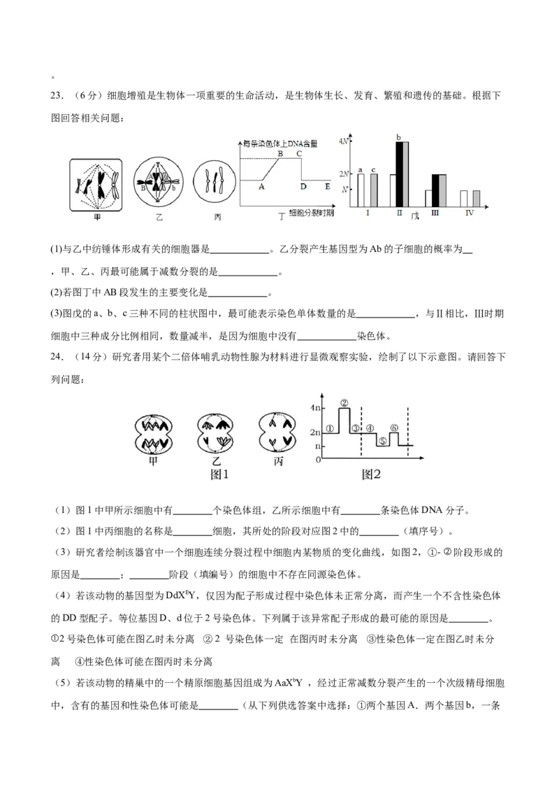 专题三细胞的生命历程（测试）（原卷版）_2024年新高考资料_2.2024二轮复习_2024年高考生物二轮复习讲练测（新教材新高考）
