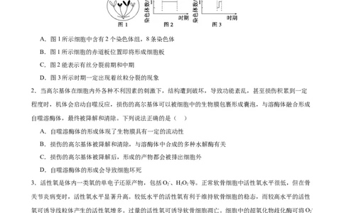 专题三细胞的生命历程（测试）（原卷版）_2024年新高考资料_2.2024二轮复习_2024年高考生物二轮复习讲练测（新教材新高考）
