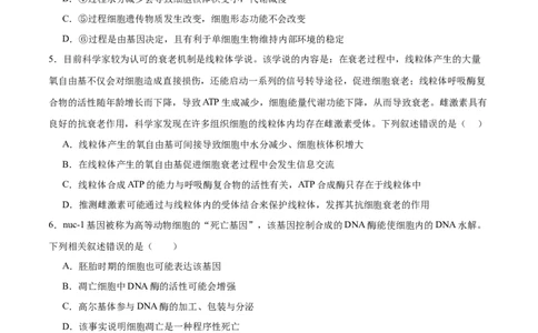 专题三细胞的生命历程（测试）（原卷版）_2024年新高考资料_2.2024二轮复习_2024年高考生物二轮复习讲练测（新教材新高考）