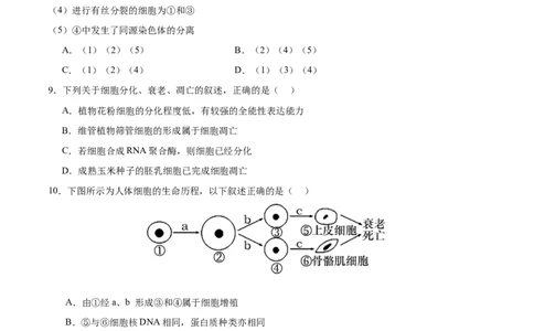 专题三细胞的生命历程（测试）（原卷版）_2024年新高考资料_2.2024二轮复习_2024年高考生物二轮复习讲练测（新教材新高考）