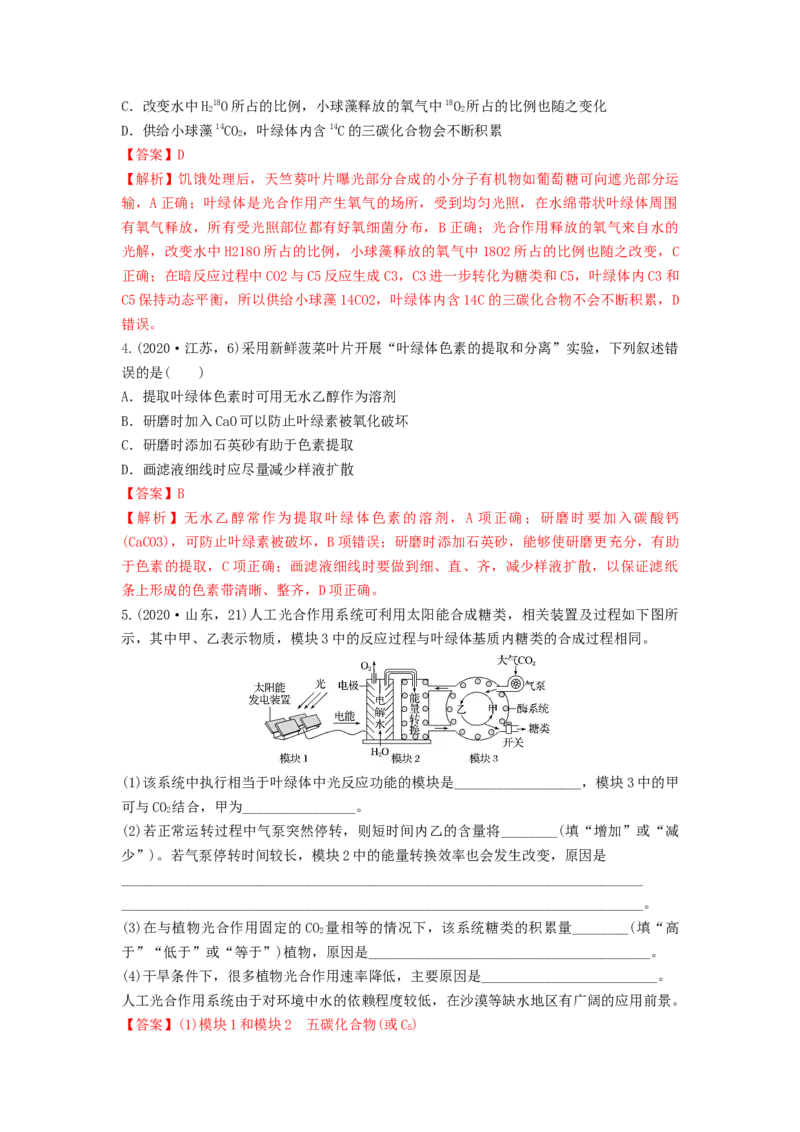 专题09光合作用（串讲）（解析版）_2024年新高考资料_1.2024一轮复习_备战2024年高考生物一轮复习串讲精练（新高考专用）