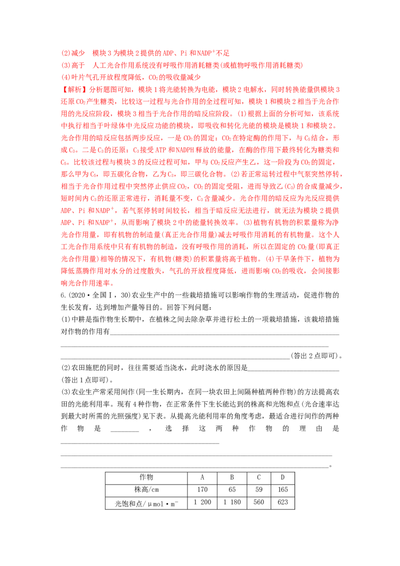 专题09光合作用（串讲）（解析版）_2024年新高考资料_1.2024一轮复习_备战2024年高考生物一轮复习串讲精练（新高考专用）