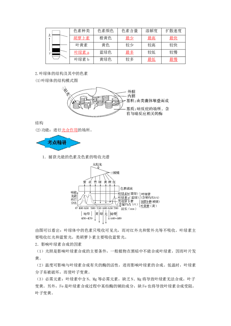 专题09光合作用（串讲）（解析版）_2024年新高考资料_1.2024一轮复习_备战2024年高考生物一轮复习串讲精练（新高考专用）
