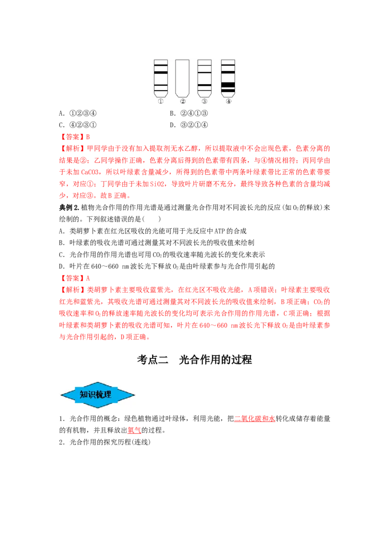 专题09光合作用（串讲）（解析版）_2024年新高考资料_1.2024一轮复习_备战2024年高考生物一轮复习串讲精练（新高考专用）