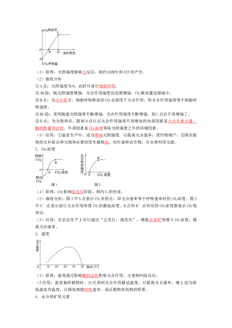 专题09光合作用（串讲）（解析版）_2024年新高考资料_1.2024一轮复习_备战2024年高考生物一轮复习串讲精练（新高考专用）