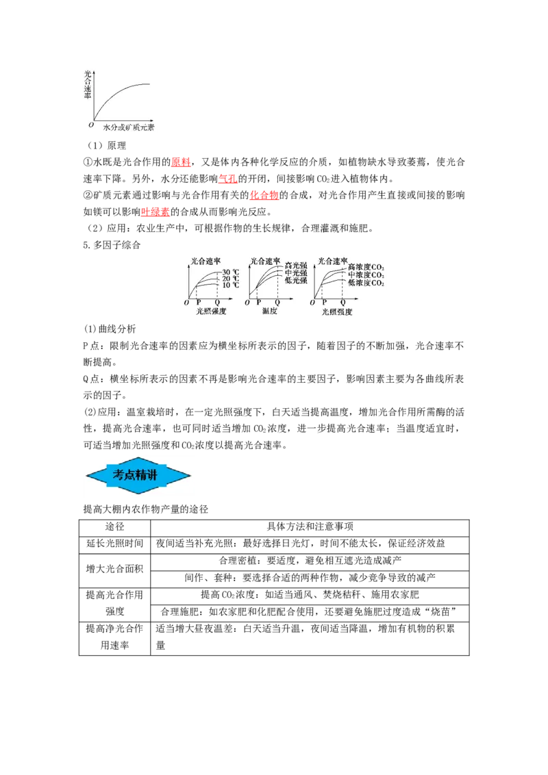 专题09光合作用（串讲）（解析版）_2024年新高考资料_1.2024一轮复习_备战2024年高考生物一轮复习串讲精练（新高考专用）