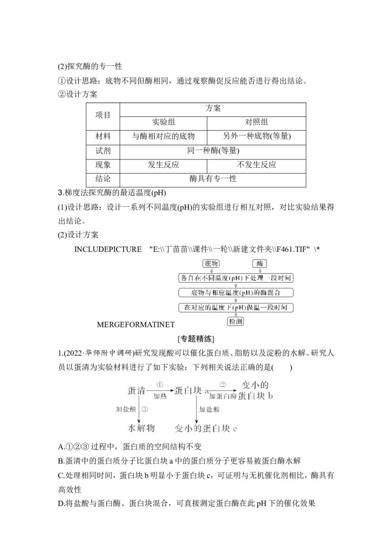 微专题1　酶的相关拓展实验_2024年新高考资料_1.2024一轮复习_2024年高考生物一轮复习讲义（新人教版）_另附1套Word版题库_必修1_第三单元细胞的能量供应和利用