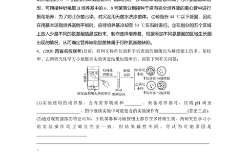 2022年高考生物一轮复习第11单元强化练23　微生物的培养与应用_新高考复习资料_2022年新高考复习资料_2022年一轮复习最新版_1.2022年高考生物一轮复习全国通用版