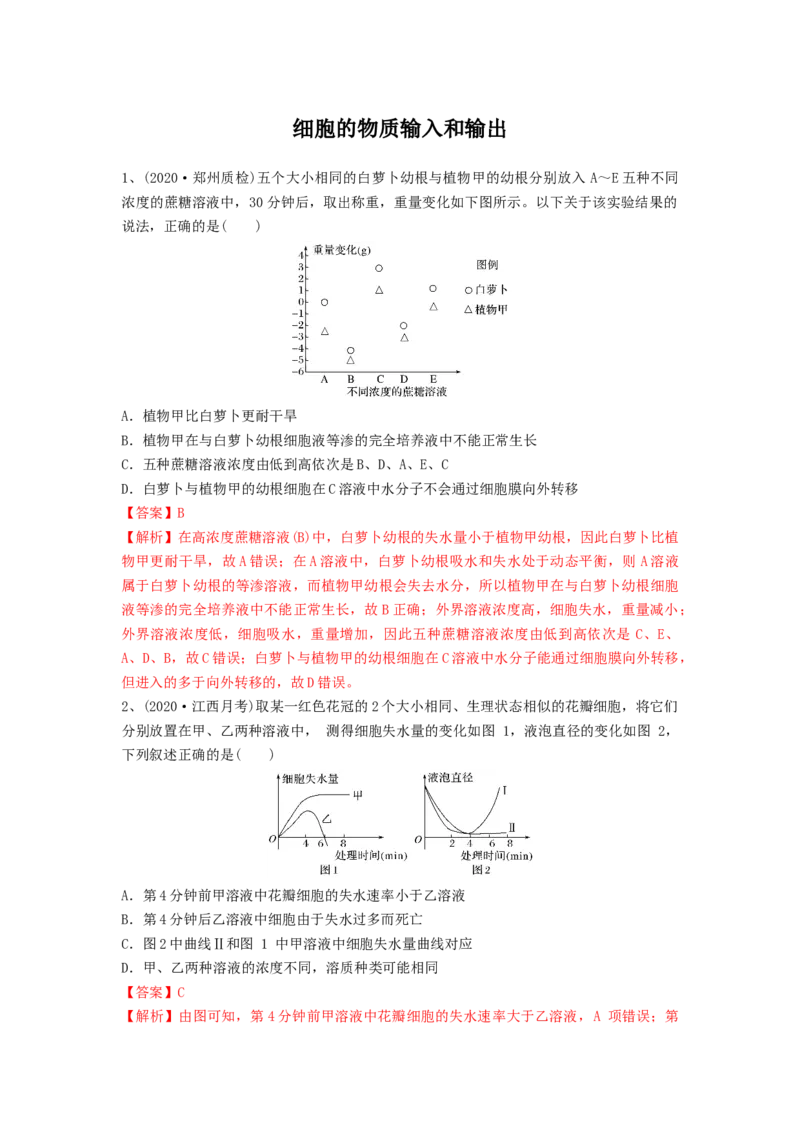 专题06细胞的物质输入和输出（精练）（解析版）_2024年新高考资料_1.2024一轮复习_备战2024年高考生物一轮复习串讲精练（新高考专用）