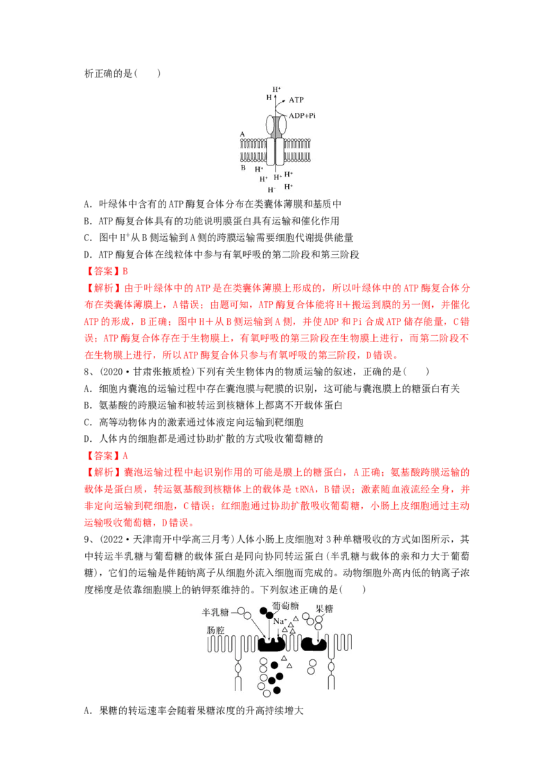 专题06细胞的物质输入和输出（精练）（解析版）_2024年新高考资料_1.2024一轮复习_备战2024年高考生物一轮复习串讲精练（新高考专用）