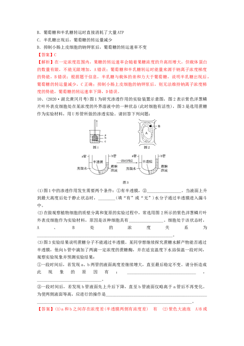 专题06细胞的物质输入和输出（精练）（解析版）_2024年新高考资料_1.2024一轮复习_备战2024年高考生物一轮复习串讲精练（新高考专用）