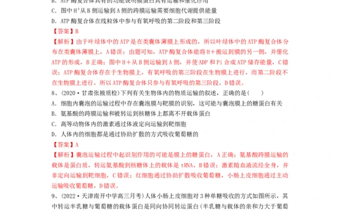 专题06细胞的物质输入和输出（精练）（解析版）_2024年新高考资料_1.2024一轮复习_备战2024年高考生物一轮复习串讲精练（新高考专用）