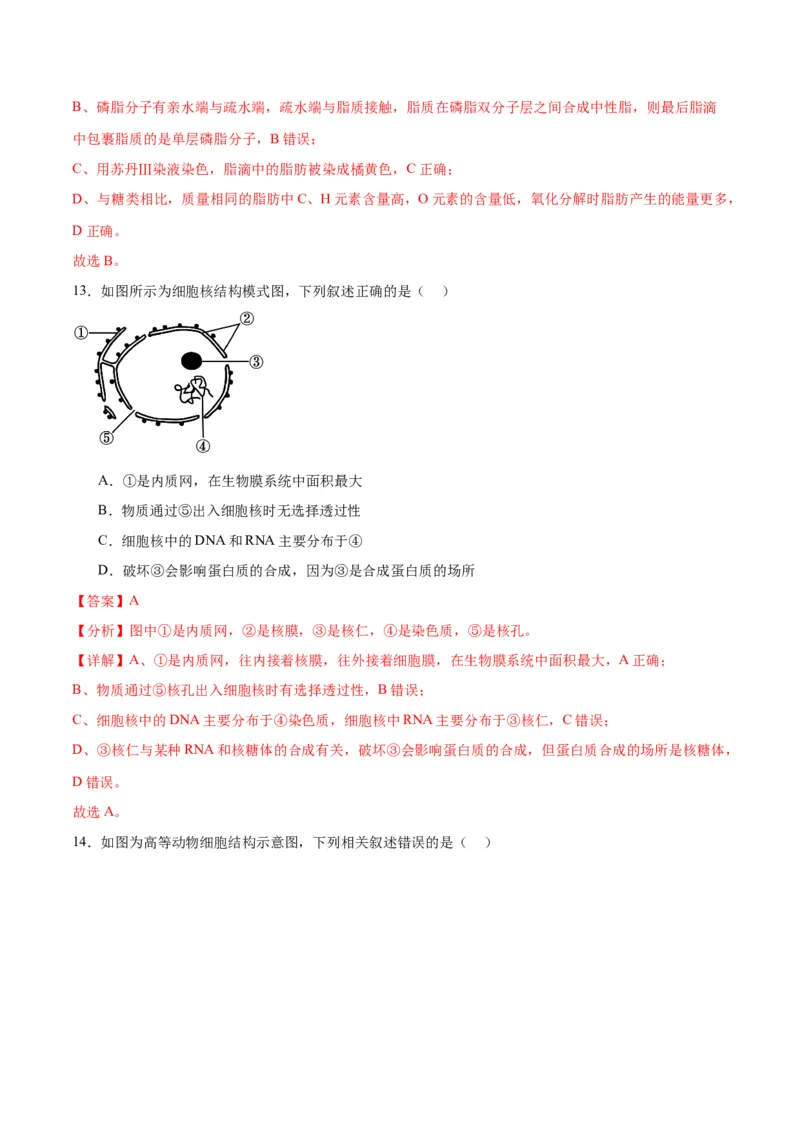 专题5细胞膜和细胞核（解析版)_2024年新高考资料_3.2024专项复习_备战2024年高考生物一轮复习重难点专项突破_专题05细胞膜和细胞核-备战2024年高考生物一轮复习重难点专项突破