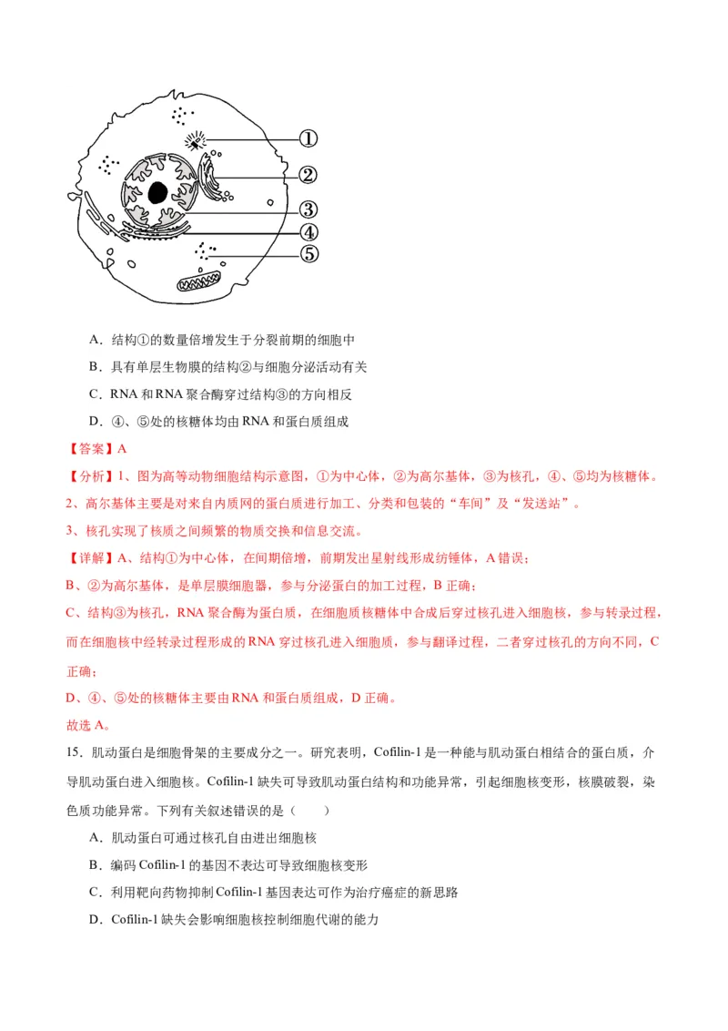专题5细胞膜和细胞核（解析版)_2024年新高考资料_3.2024专项复习_备战2024年高考生物一轮复习重难点专项突破_专题05细胞膜和细胞核-备战2024年高考生物一轮复习重难点专项突破