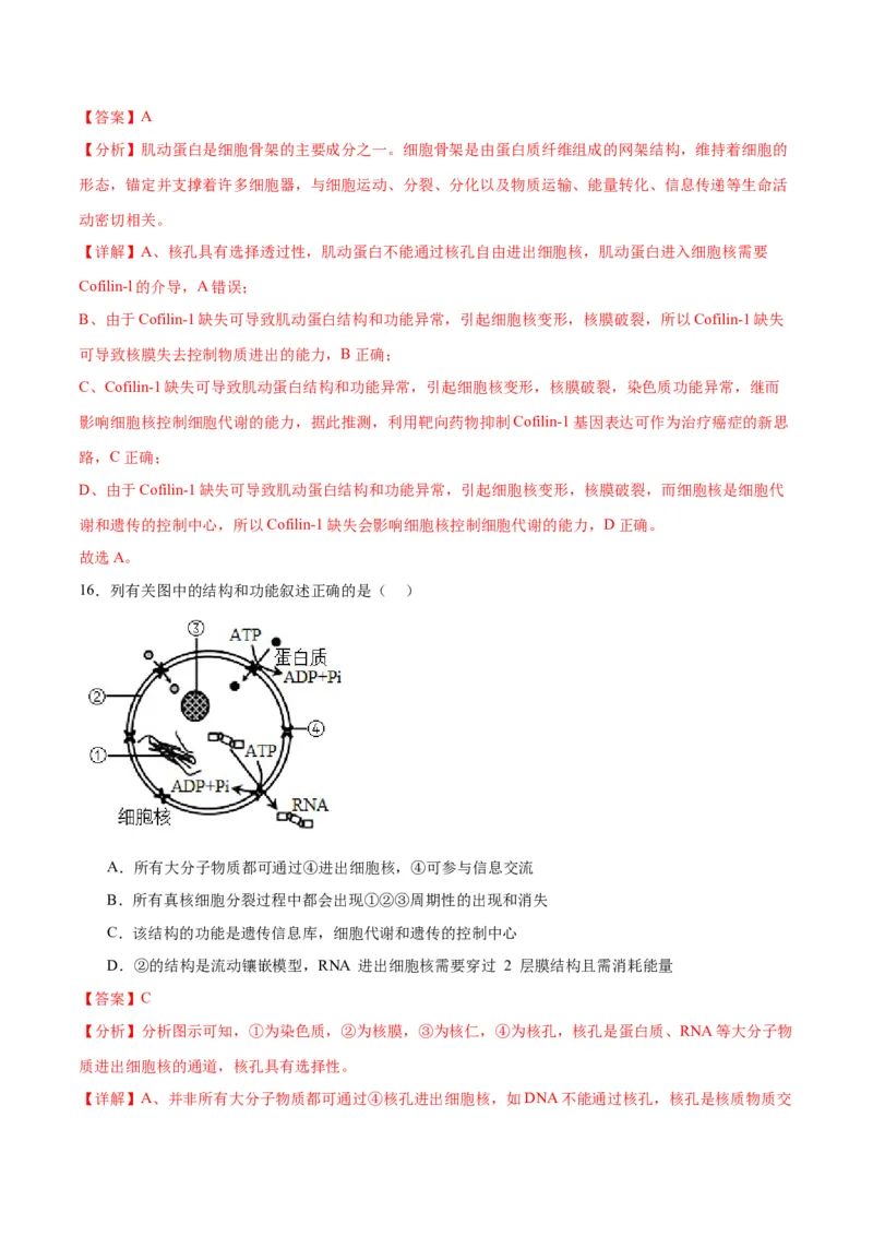 专题5细胞膜和细胞核（解析版)_2024年新高考资料_3.2024专项复习_备战2024年高考生物一轮复习重难点专项突破_专题05细胞膜和细胞核-备战2024年高考生物一轮复习重难点专项突破