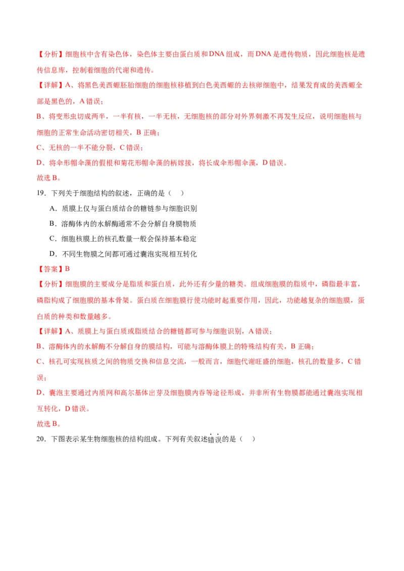 专题5细胞膜和细胞核（解析版)_2024年新高考资料_3.2024专项复习_备战2024年高考生物一轮复习重难点专项突破_专题05细胞膜和细胞核-备战2024年高考生物一轮复习重难点专项突破