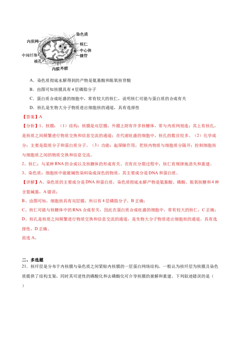 专题5细胞膜和细胞核（解析版)_2024年新高考资料_3.2024专项复习_备战2024年高考生物一轮复习重难点专项突破_专题05细胞膜和细胞核-备战2024年高考生物一轮复习重难点专项突破