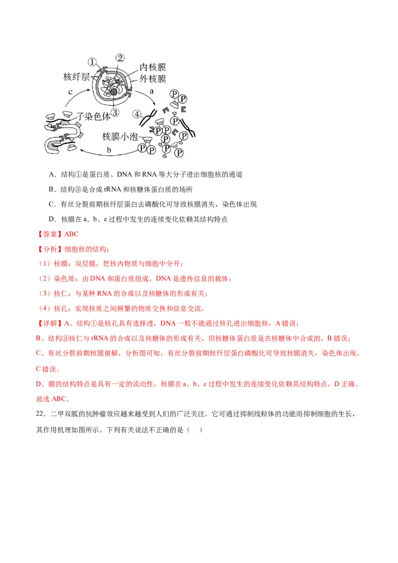 专题5细胞膜和细胞核（解析版)_2024年新高考资料_3.2024专项复习_备战2024年高考生物一轮复习重难点专项突破_专题05细胞膜和细胞核-备战2024年高考生物一轮复习重难点专项突破