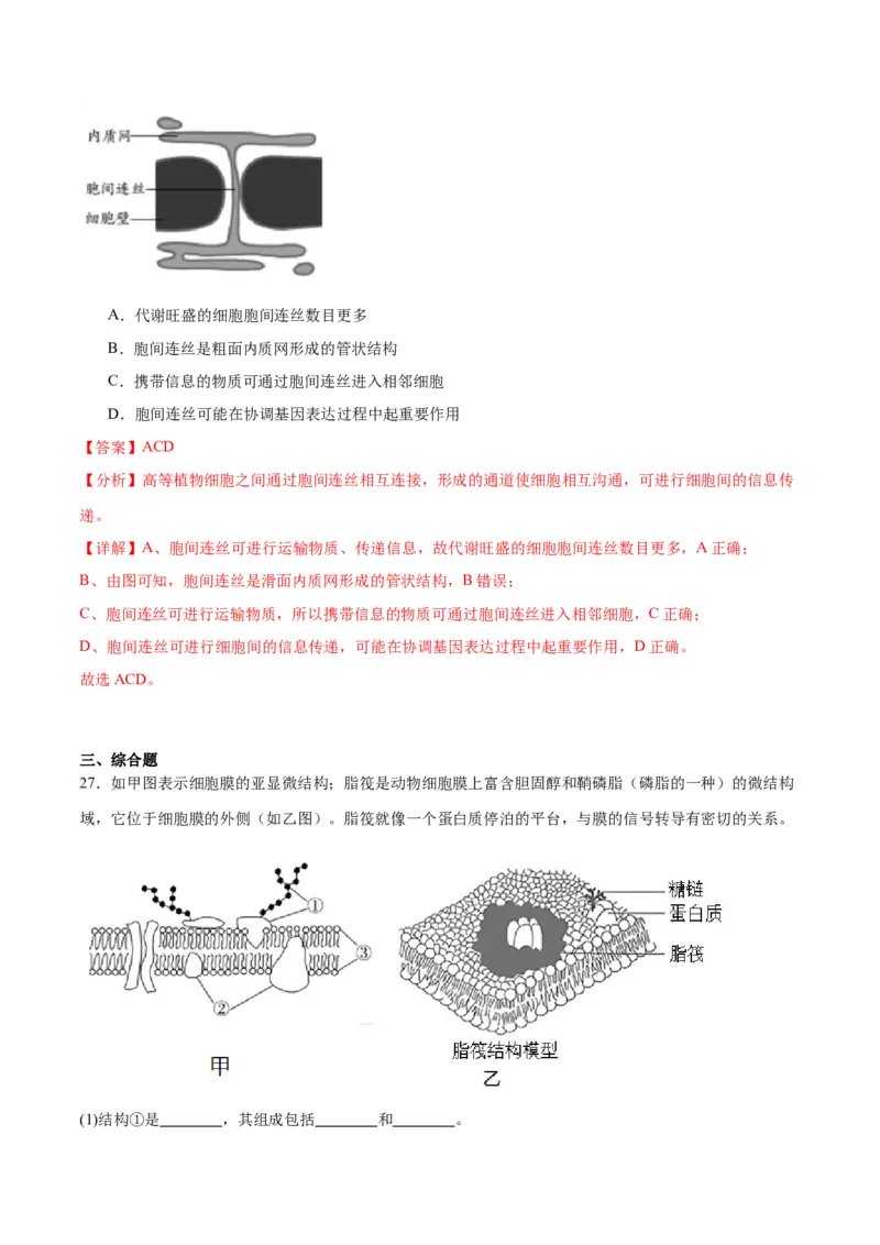 专题5细胞膜和细胞核（解析版)_2024年新高考资料_3.2024专项复习_备战2024年高考生物一轮复习重难点专项突破_专题05细胞膜和细胞核-备战2024年高考生物一轮复习重难点专项突破