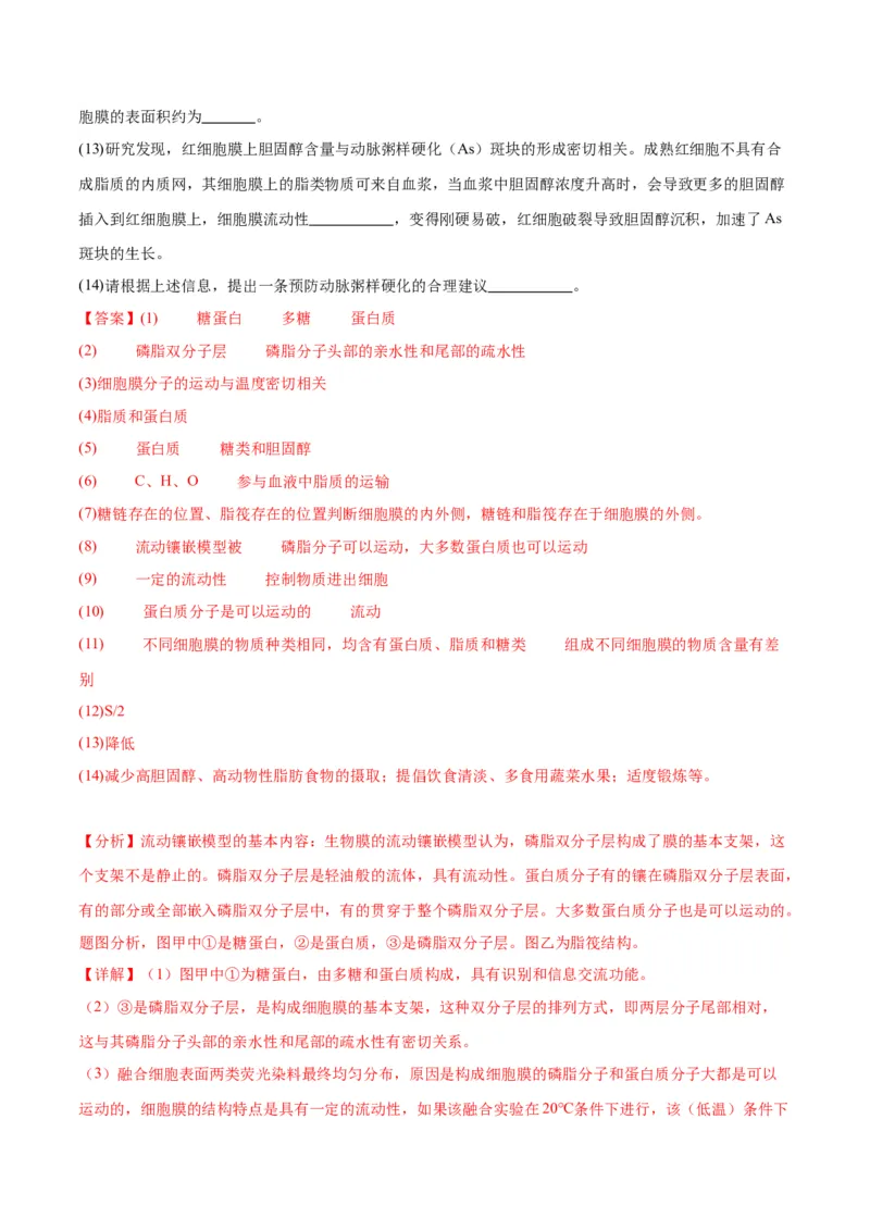 专题5细胞膜和细胞核（解析版)_2024年新高考资料_3.2024专项复习_备战2024年高考生物一轮复习重难点专项突破_专题05细胞膜和细胞核-备战2024年高考生物一轮复习重难点专项突破