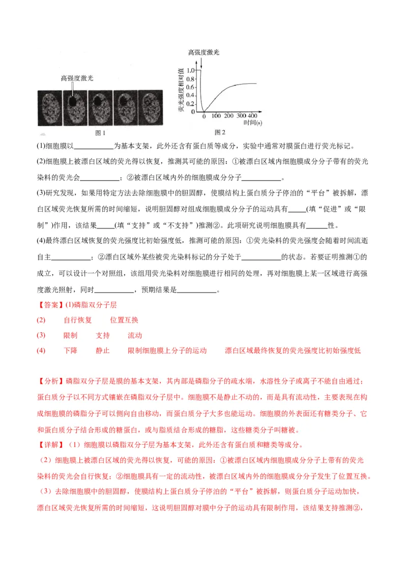 专题5细胞膜和细胞核（解析版)_2024年新高考资料_3.2024专项复习_备战2024年高考生物一轮复习重难点专项突破_专题05细胞膜和细胞核-备战2024年高考生物一轮复习重难点专项突破