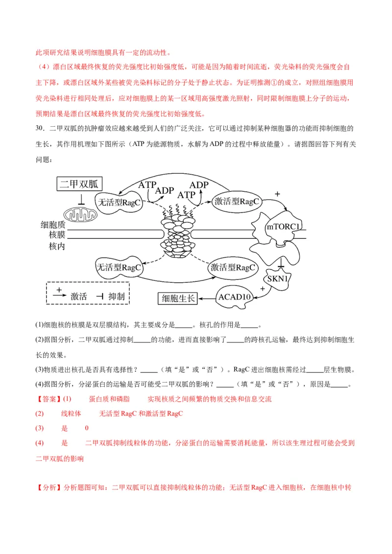 专题5细胞膜和细胞核（解析版)_2024年新高考资料_3.2024专项复习_备战2024年高考生物一轮复习重难点专项突破_专题05细胞膜和细胞核-备战2024年高考生物一轮复习重难点专项突破