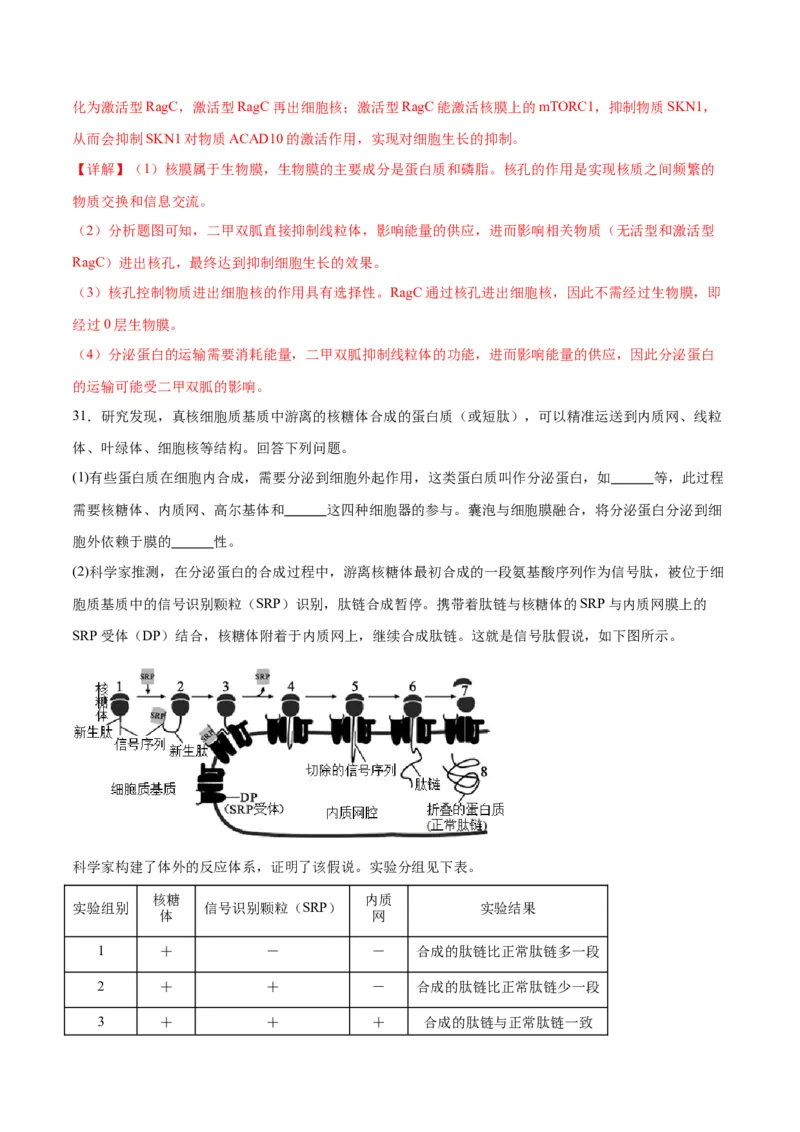 专题5细胞膜和细胞核（解析版)_2024年新高考资料_3.2024专项复习_备战2024年高考生物一轮复习重难点专项突破_专题05细胞膜和细胞核-备战2024年高考生物一轮复习重难点专项突破