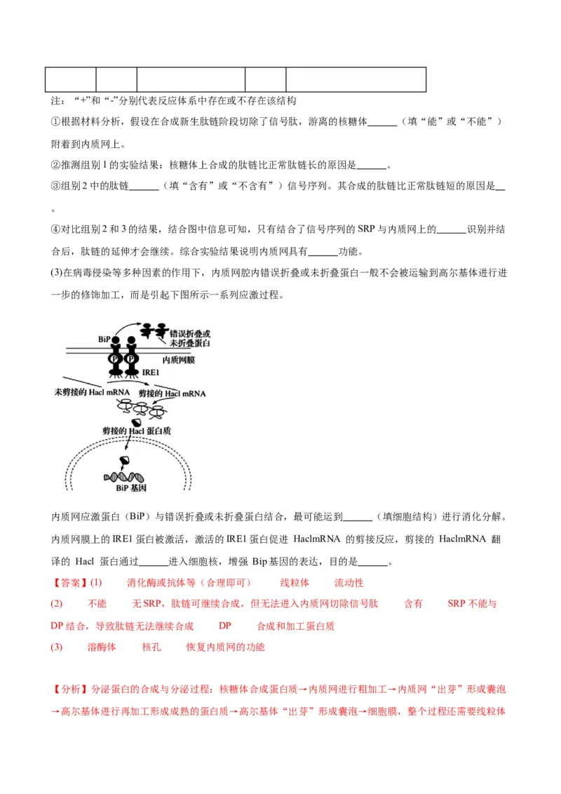 专题5细胞膜和细胞核（解析版)_2024年新高考资料_3.2024专项复习_备战2024年高考生物一轮复习重难点专项突破_专题05细胞膜和细胞核-备战2024年高考生物一轮复习重难点专项突破