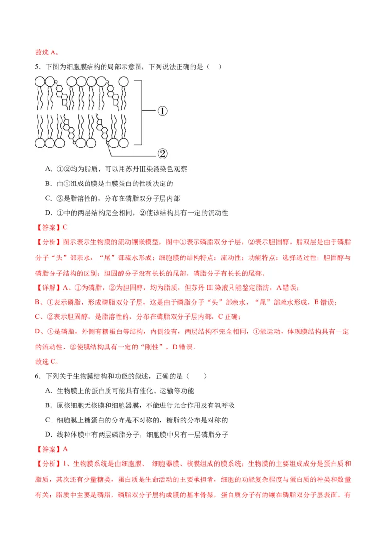 专题5细胞膜和细胞核（解析版)_2024年新高考资料_3.2024专项复习_备战2024年高考生物一轮复习重难点专项突破_专题05细胞膜和细胞核-备战2024年高考生物一轮复习重难点专项突破