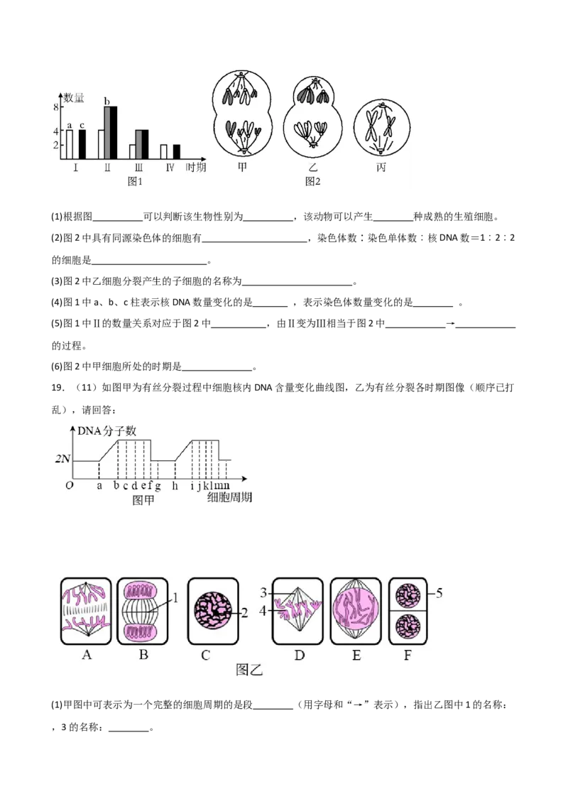 单元检测卷04细胞的生命历程（原卷版）_2024年新高考资料_1.2024一轮复习_2024年高考生物一轮复习考点通关卷（新高考通用）