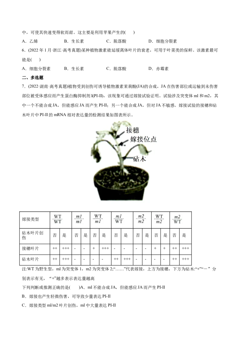专题10植物生命活动的调节-2022年高考真题和模拟题生物分专题训练（学生版）_2024年新高考资料_1.2024一轮复习_赠2022年高考生物真题与模拟题分类