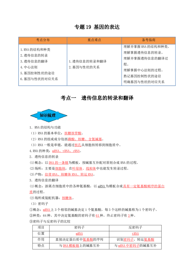 专题19基因的表达（串讲）（解析版）_2024年新高考资料_1.2024一轮复习_备战2024年高考生物一轮复习串讲精练（新高考专用）