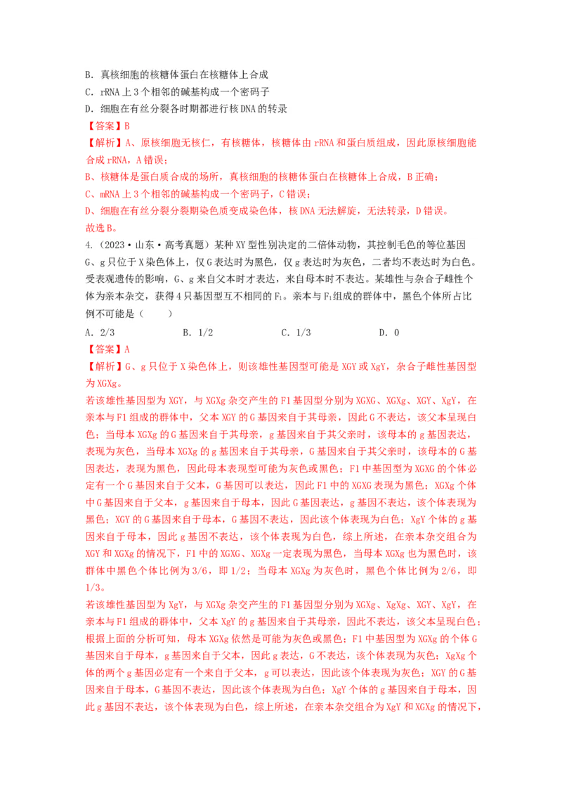 专题19基因的表达（串讲）（解析版）_2024年新高考资料_1.2024一轮复习_备战2024年高考生物一轮复习串讲精练（新高考专用）