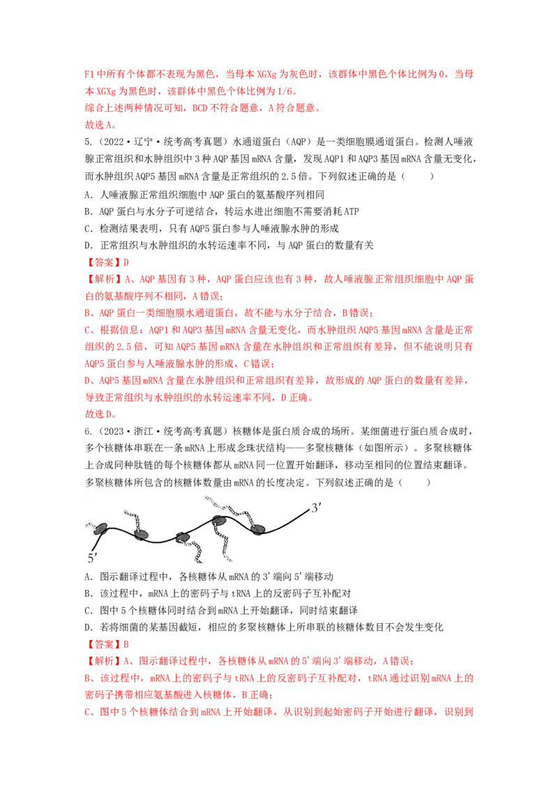 专题19基因的表达（串讲）（解析版）_2024年新高考资料_1.2024一轮复习_备战2024年高考生物一轮复习串讲精练（新高考专用）