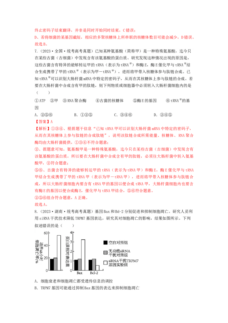 专题19基因的表达（串讲）（解析版）_2024年新高考资料_1.2024一轮复习_备战2024年高考生物一轮复习串讲精练（新高考专用）