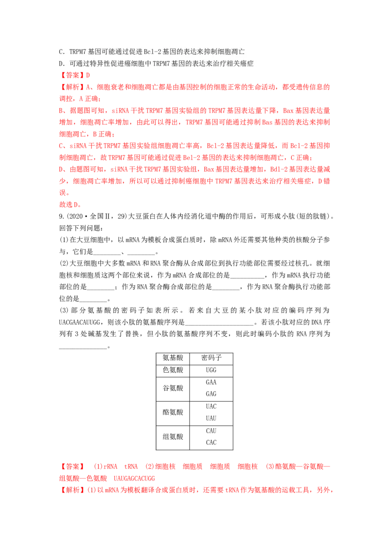 专题19基因的表达（串讲）（解析版）_2024年新高考资料_1.2024一轮复习_备战2024年高考生物一轮复习串讲精练（新高考专用）