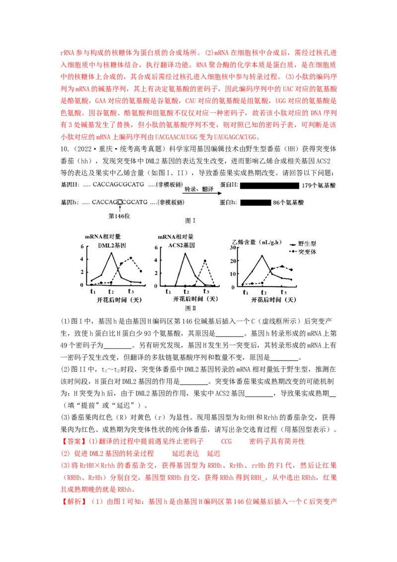专题19基因的表达（串讲）（解析版）_2024年新高考资料_1.2024一轮复习_备战2024年高考生物一轮复习串讲精练（新高考专用）