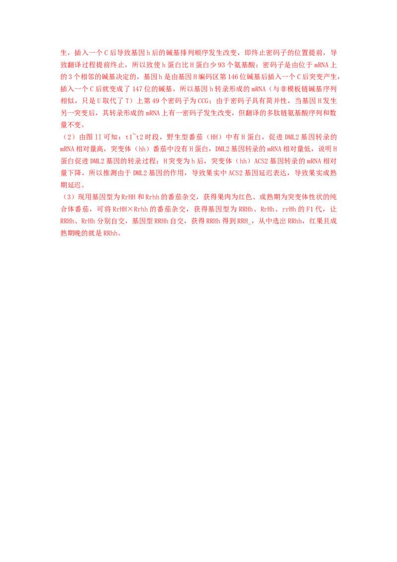 专题19基因的表达（串讲）（解析版）_2024年新高考资料_1.2024一轮复习_备战2024年高考生物一轮复习串讲精练（新高考专用）