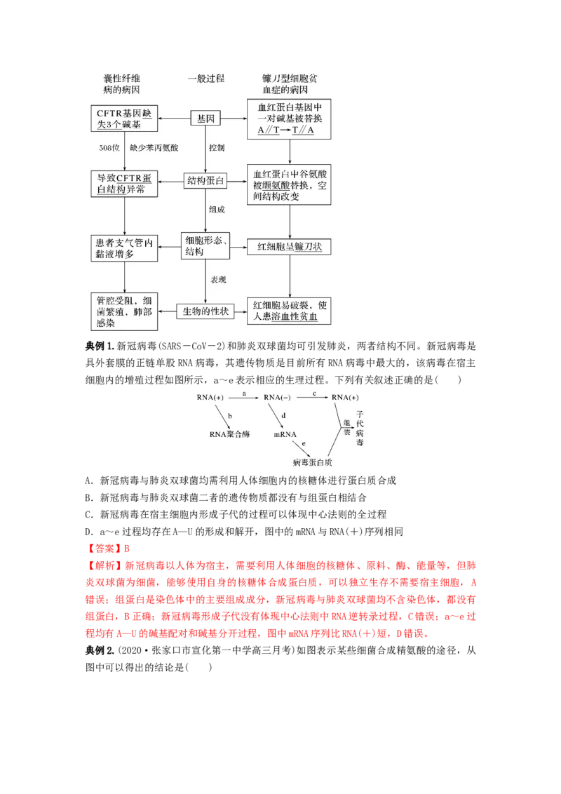 专题19基因的表达（串讲）（解析版）_2024年新高考资料_1.2024一轮复习_备战2024年高考生物一轮复习串讲精练（新高考专用）