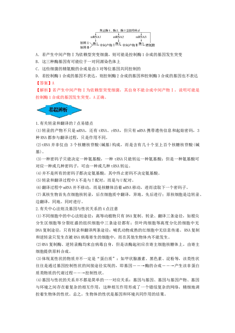 专题19基因的表达（串讲）（解析版）_2024年新高考资料_1.2024一轮复习_备战2024年高考生物一轮复习串讲精练（新高考专用）