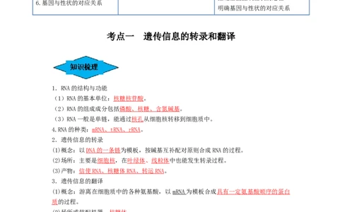 专题19基因的表达（串讲）（解析版）_2024年新高考资料_1.2024一轮复习_备战2024年高考生物一轮复习串讲精练（新高考专用）