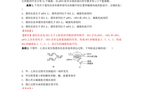 专题19基因的表达（串讲）（解析版）_2024年新高考资料_1.2024一轮复习_备战2024年高考生物一轮复习串讲精练（新高考专用）
