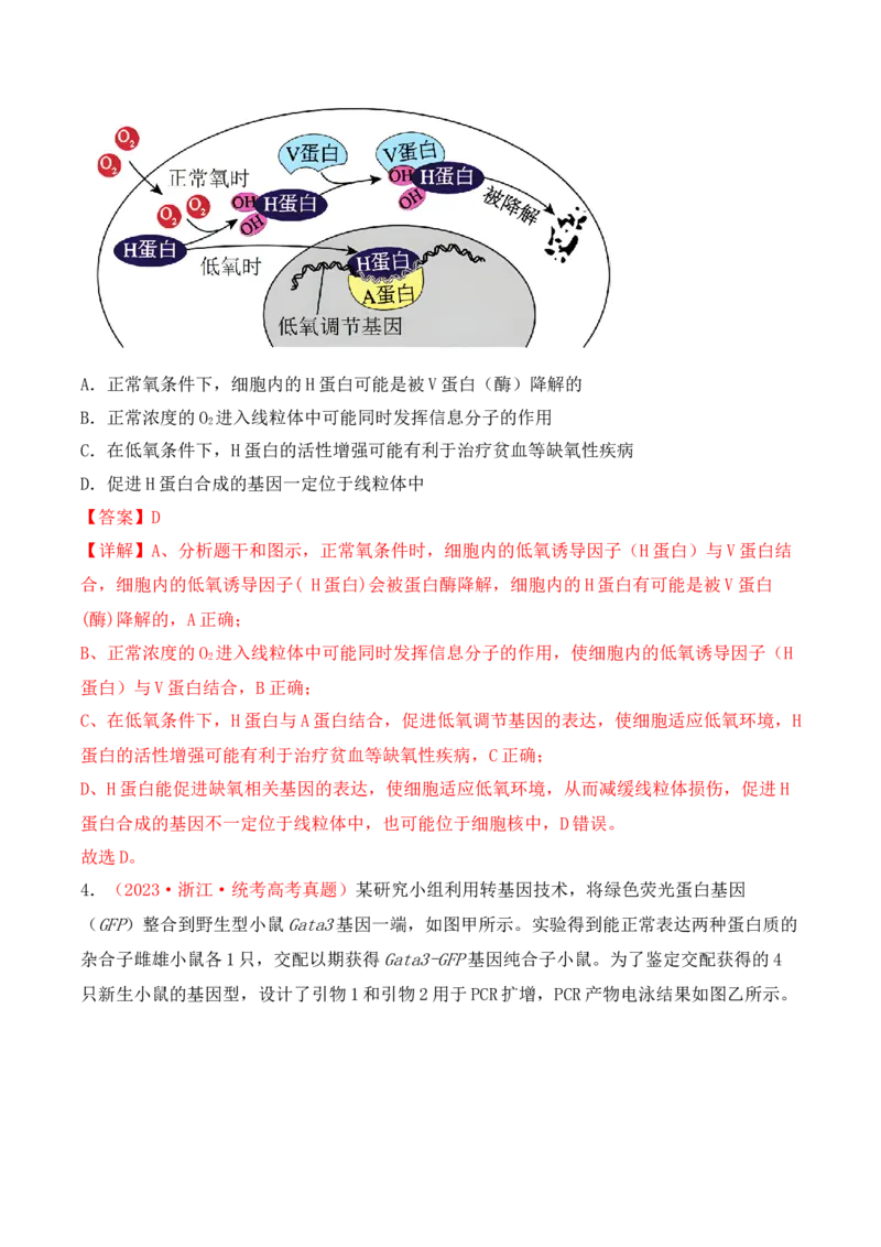 专题08基因的表达以及基因频率的计算（解析版）_2024年新高考资料_3.2024专项复习_备战2024年高考生物一轮复习重难点突破讲解与训练（新教材）