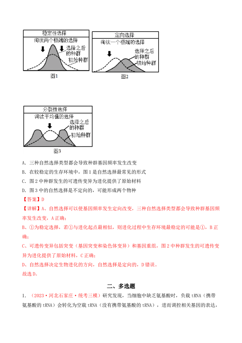 专题08基因的表达以及基因频率的计算（解析版）_2024年新高考资料_3.2024专项复习_备战2024年高考生物一轮复习重难点突破讲解与训练（新教材）
