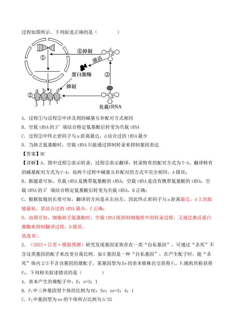 专题08基因的表达以及基因频率的计算（解析版）_2024年新高考资料_3.2024专项复习_备战2024年高考生物一轮复习重难点突破讲解与训练（新教材）
