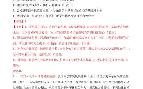 专题08基因的表达以及基因频率的计算（解析版）_2024年新高考资料_3.2024专项复习_备战2024年高考生物一轮复习重难点突破讲解与训练（新教材）