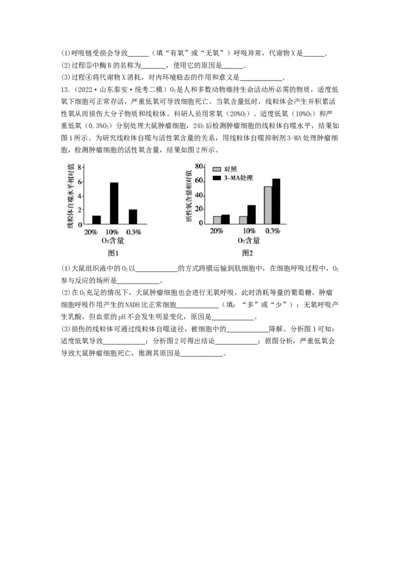 专题23人体的内环境与稳态（精练）（原卷版）_2024年新高考资料_1.2024一轮复习_备战2024年高考生物一轮复习串讲精练（新高考专用）