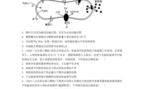 专题23人体的内环境与稳态（精练）（原卷版）_2024年新高考资料_1.2024一轮复习_备战2024年高考生物一轮复习串讲精练（新高考专用）