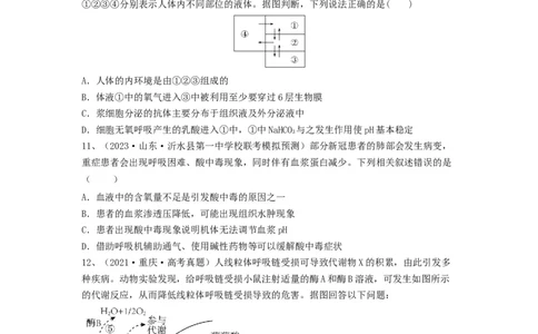 专题23人体的内环境与稳态（精练）（原卷版）_2024年新高考资料_1.2024一轮复习_备战2024年高考生物一轮复习串讲精练（新高考专用）